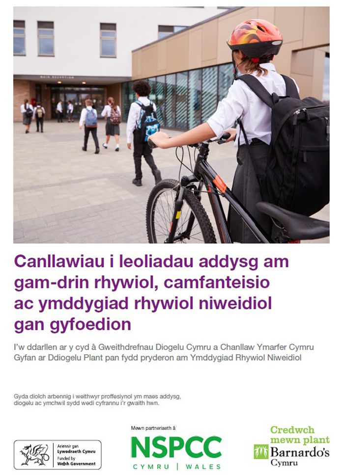 Canllawiau i leoliadau addysg am gamdrin rhywiol gan gyfoedion